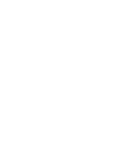 DG Volo & Company